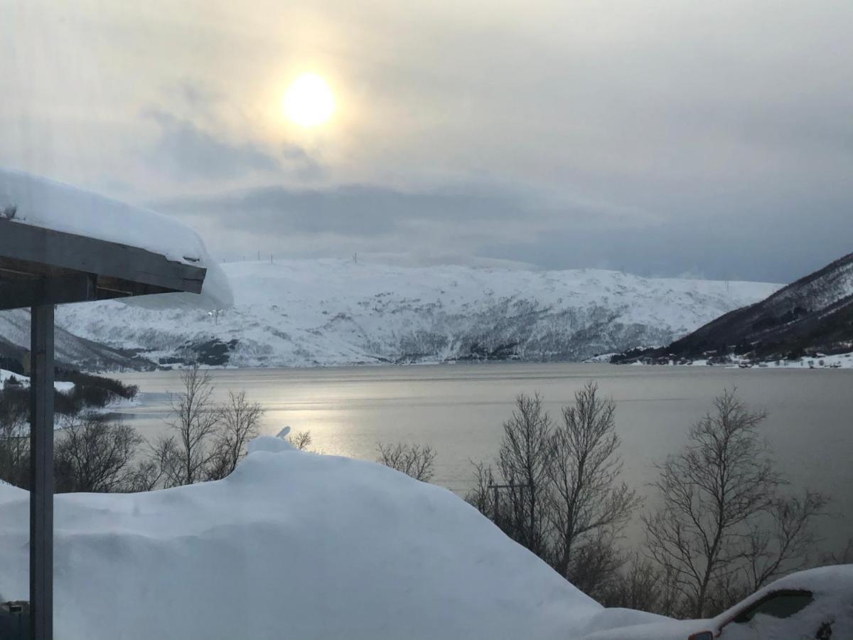 Melishome: Aurora Observatory Tromso Exterior photo