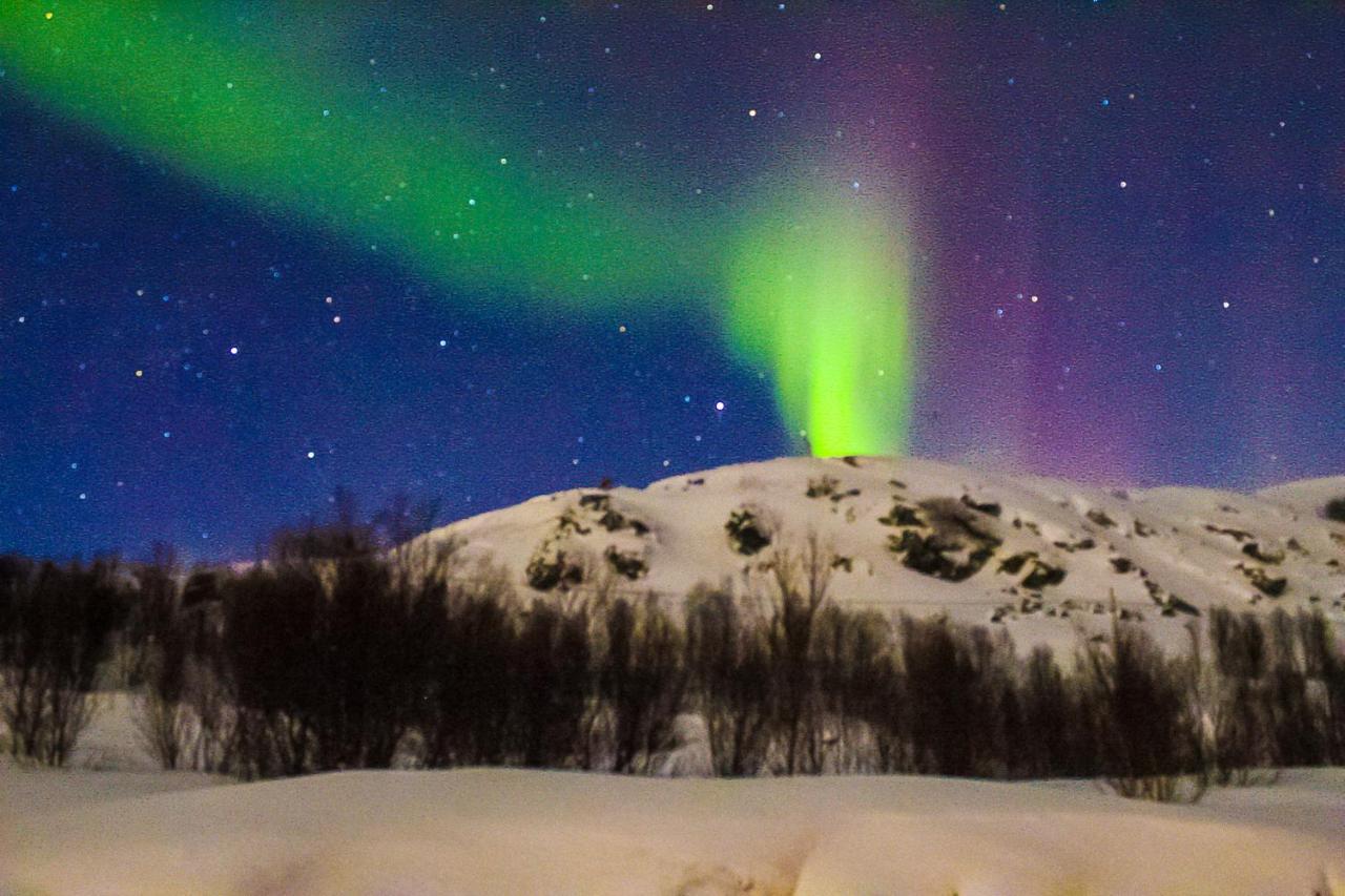Melishome: Aurora Observatory Tromso Exterior photo